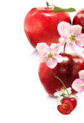 Isolated image of apples and cherries on white background
