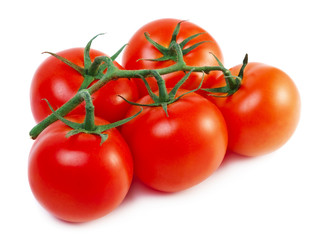 Tomatoes