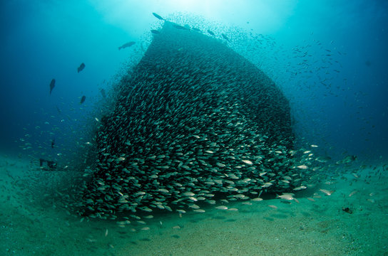 shipwreck, pacific.