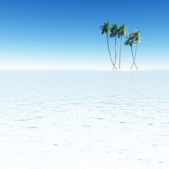 Coconut palms on small island