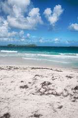 Fototapeta na wymiar Orient Beach na wyspie St Maarten Wyspy Karaibskie