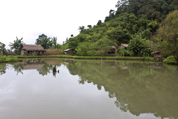 Fototapeta na wymiar Wieś w Laosie