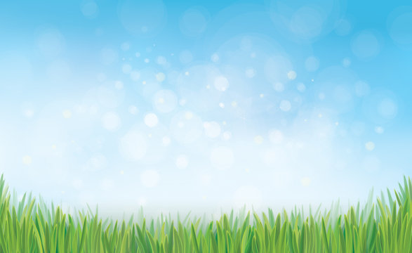 Vector nature background blue sky and green grass.