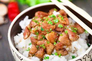 Bowl of rice with meat