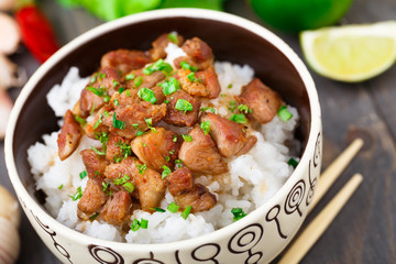 Bowl of rice with meat