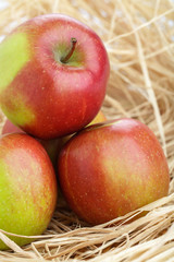 Äpfel im Stroh