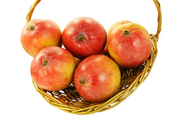 fresh mango fruit in basket on white background