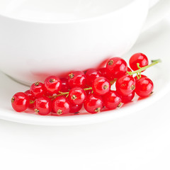 branch of red currants and a cup with a plate isolated on white