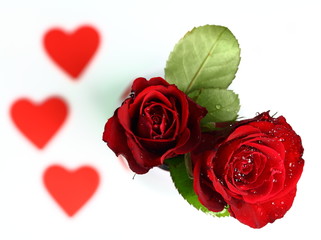 2 Rosen mit Herzen