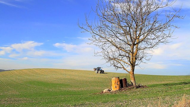 Tractor azul 1