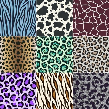 seamless cow, zebra, panther, tiger animal skin pattern