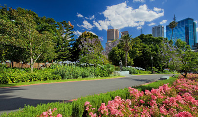 Garden in Melbourne, Victoria, Australia © Marcella Miriello