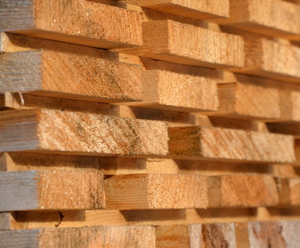 industrie du bois