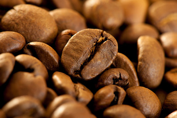 Brown coffee beans  closeup