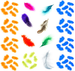 Fototapeta na wymiar Collage of colorful feathers isolated in white