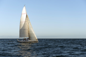 Sail boat on the ocean