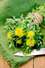 Rhodiola rosea with a knife on the board
