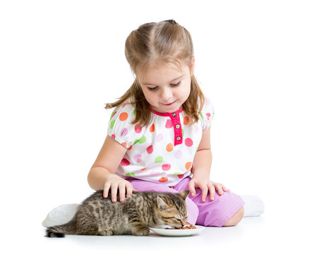 Little Girl Feeding Cat Kitten