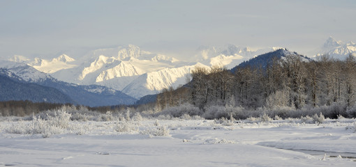 Snowcovered Mountains in  Alaska.