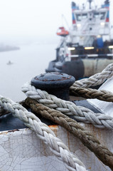 Fototapeta premium Morning In Harbor