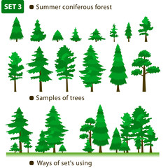 Summer coniferous forest. Set 3.