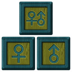 Male and female signs, wooden label