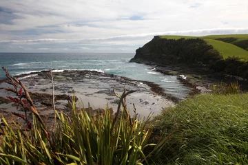 The Petrified Forest at Curio Bay