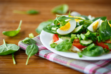 summer salad with egg