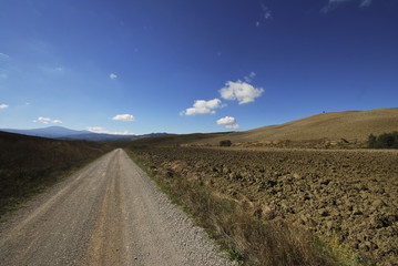 Fototapeta premium Road in Tuscan landscape