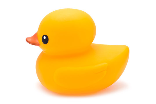 Yellow Bath Duck isolated on white