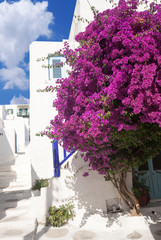 Traditional greek alley on Mykonos island, Greece - 60353171