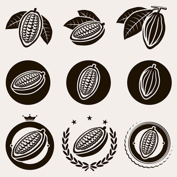 Cacao beans label and icons set. Vector