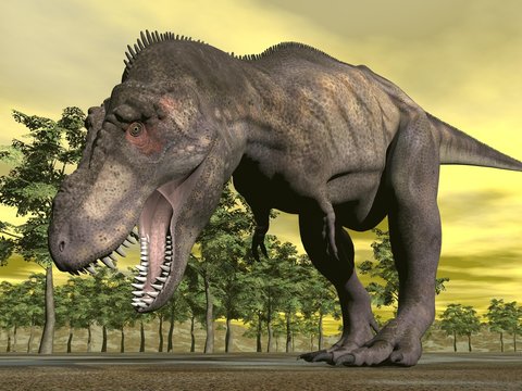 Tyrannosaurus angry - 3D render