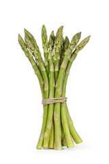 uncooked green asparagus tied with twine