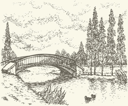 Vector landscape. Sketch of park bridge over lake