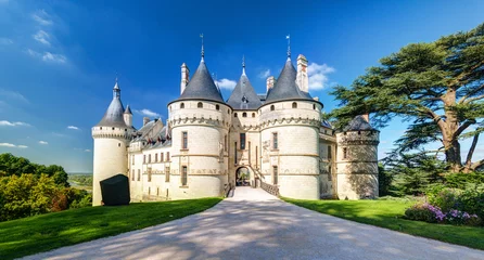 Deurstickers Kasteel Kasteel van Chaumont-sur-Loire, Frankrijk. Middeleeuws kasteel in de Loire-vallei in de zomer.