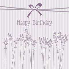 Lavender birthday card, invitation, vector background