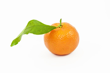 Mandarino con Foglia