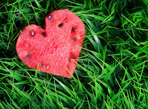 Watermelon heart on green grass. Valentine concept