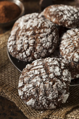 Chocolate Crinkle Cookies with Powdered Sugar