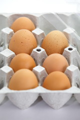 Chicken brown eggs