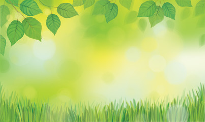 Vector green leaves branches and grass on sunshine background.