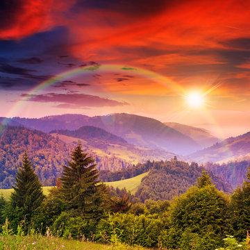 rainbow in coniferous forest on a steep mountain slope at sunset