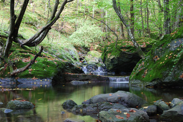 Fiume , Berkovica , BULGARIA 2