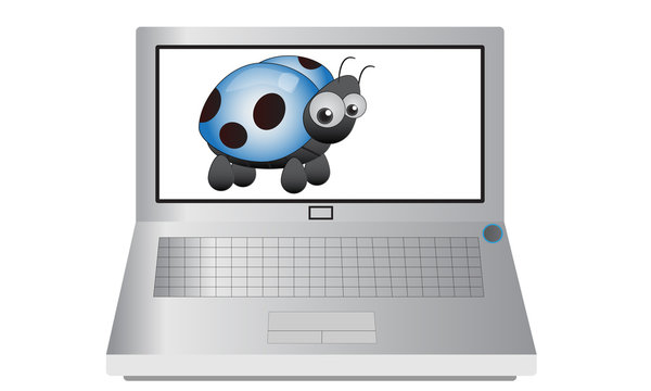 Laptop and Ladybird