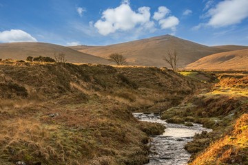 Taw marsh Belstone Dartmoor Uk