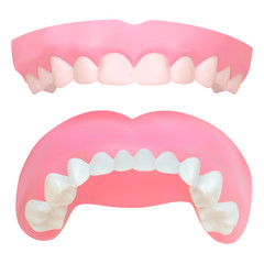 Set of Teeth of the upper jaw. Vector illustration