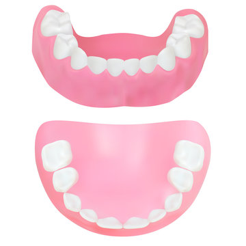 Set of Teeth of the lower jaw. Vector illustration