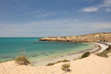 Cactus Beach in South Australia