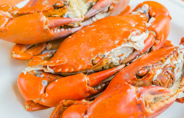 Grilled Crab on white plate